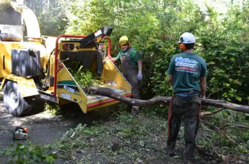 tree services Elberta